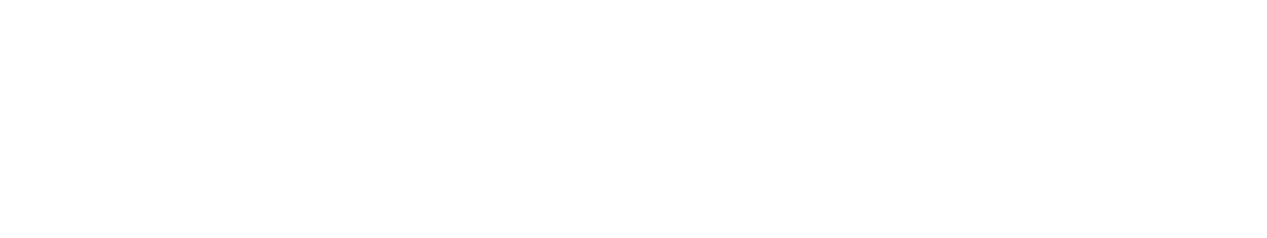 Legov Systems Group